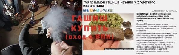 хмурый Белокуриха