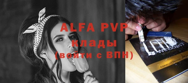 амф Богданович