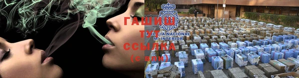 хмурый Белокуриха