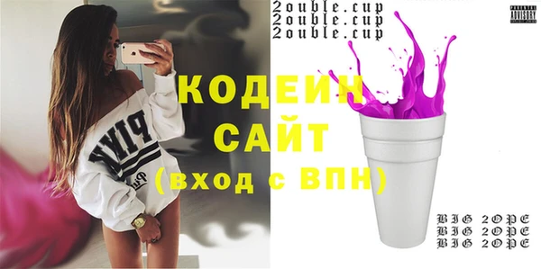 хмурый Белокуриха