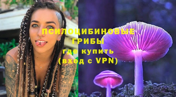 хмурый Белокуриха