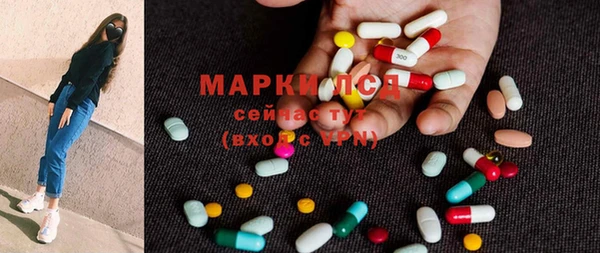 хмурый Белокуриха