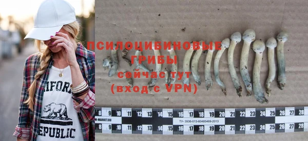 хмурый Белокуриха