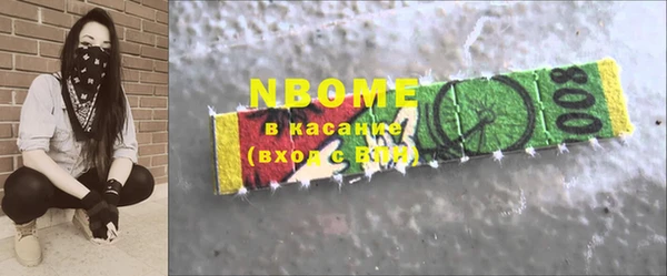 хмурый Белокуриха