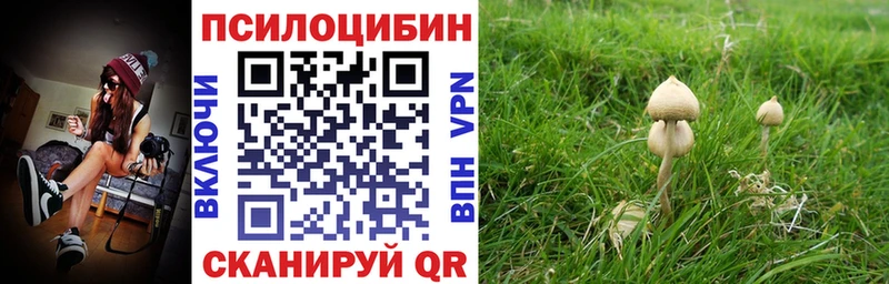 Псилоцибиновые грибы мицелий mega ONION Невель